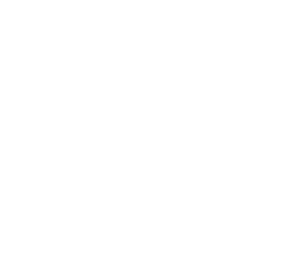 Logo2